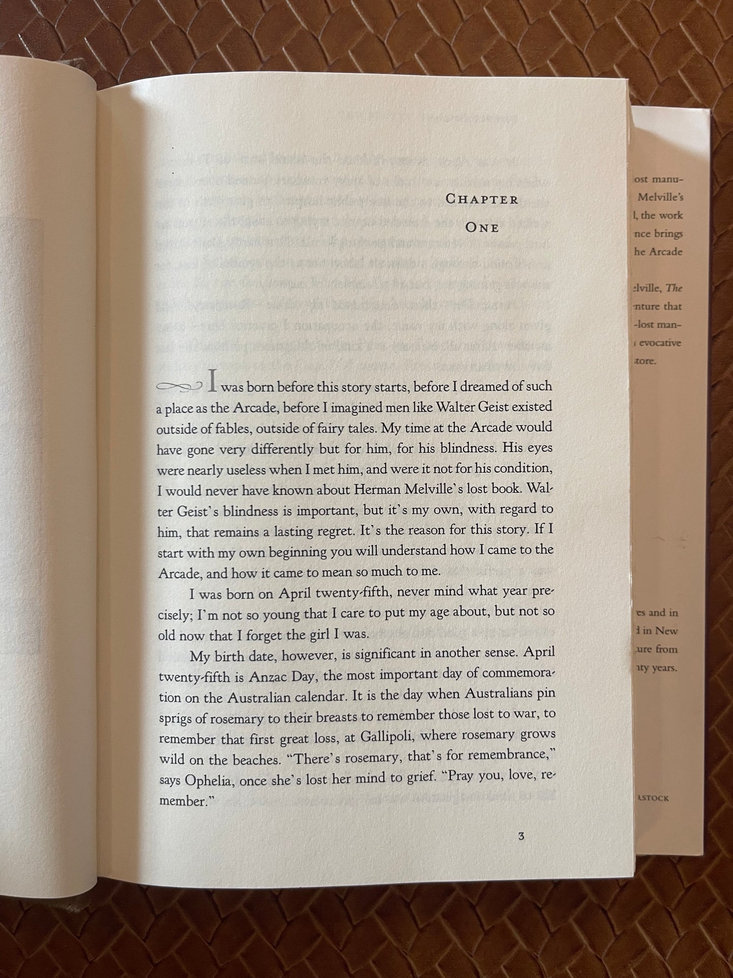 The Secret of Lost Things by Sheridan Hay (Hardcover)