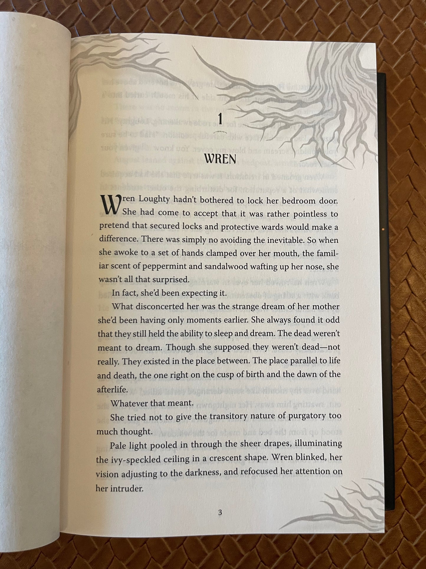 The Souls of Blackwood Academy #1: Immortal Consequences by I. V. Marie (Hardcover)
