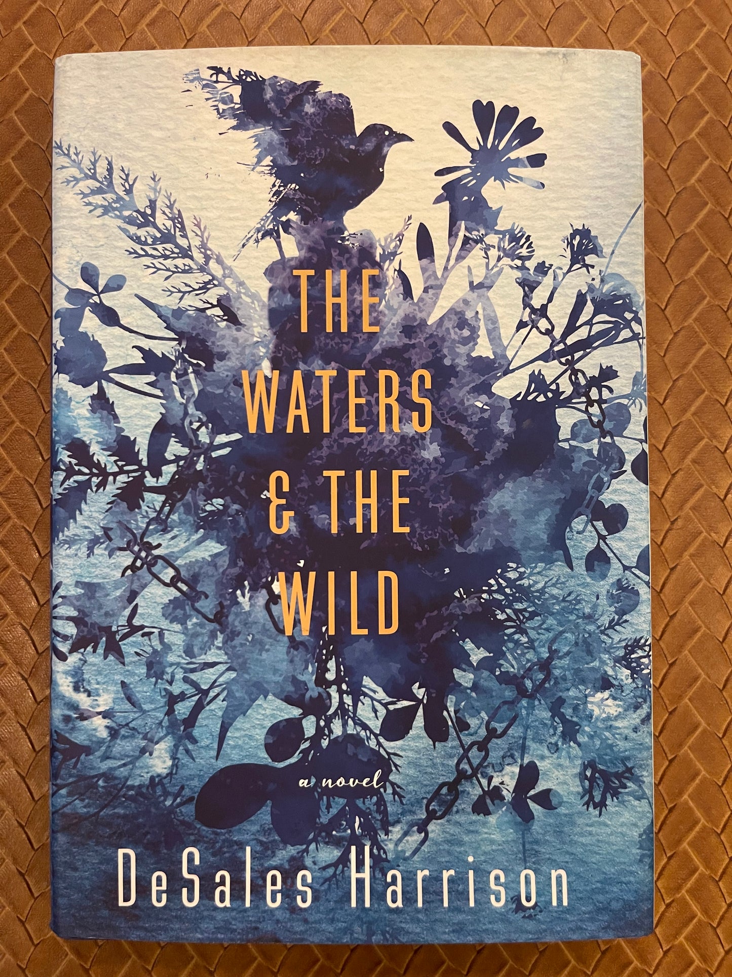 The Waters & The Wild by DeSales Harrison (Hardcover)