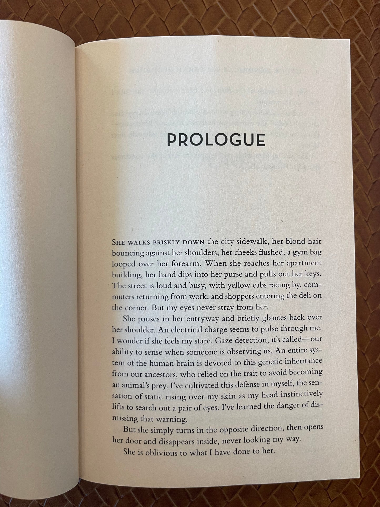 The Wife Between Us by Greer Hendricks, Sarah Pekkanen (Paperback)