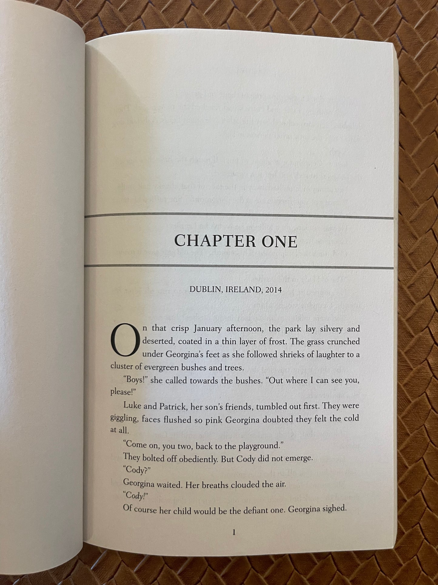 The Woman Outside My Door by Rachel Ryan (Paperback)