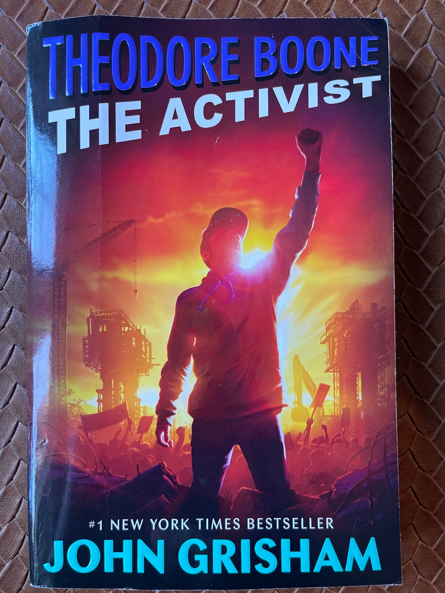 The Activist (Theodore Boone #4) by John Grisham