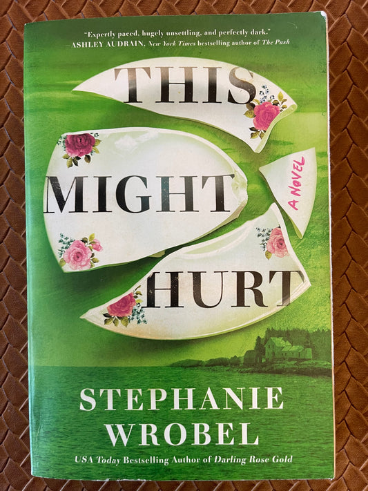 This Might Hurt by Stephanie Wrobel (Paperback)