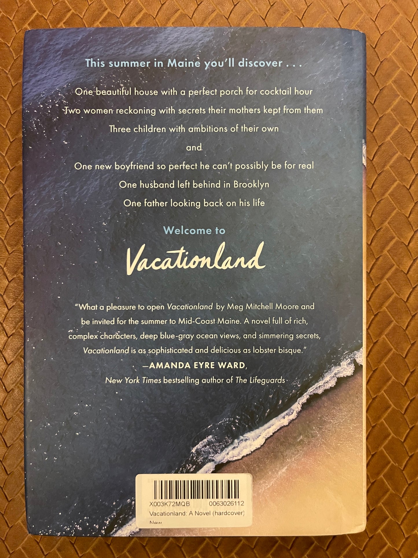 Vacationland by Meg Mitchell Moore (Hardcover)