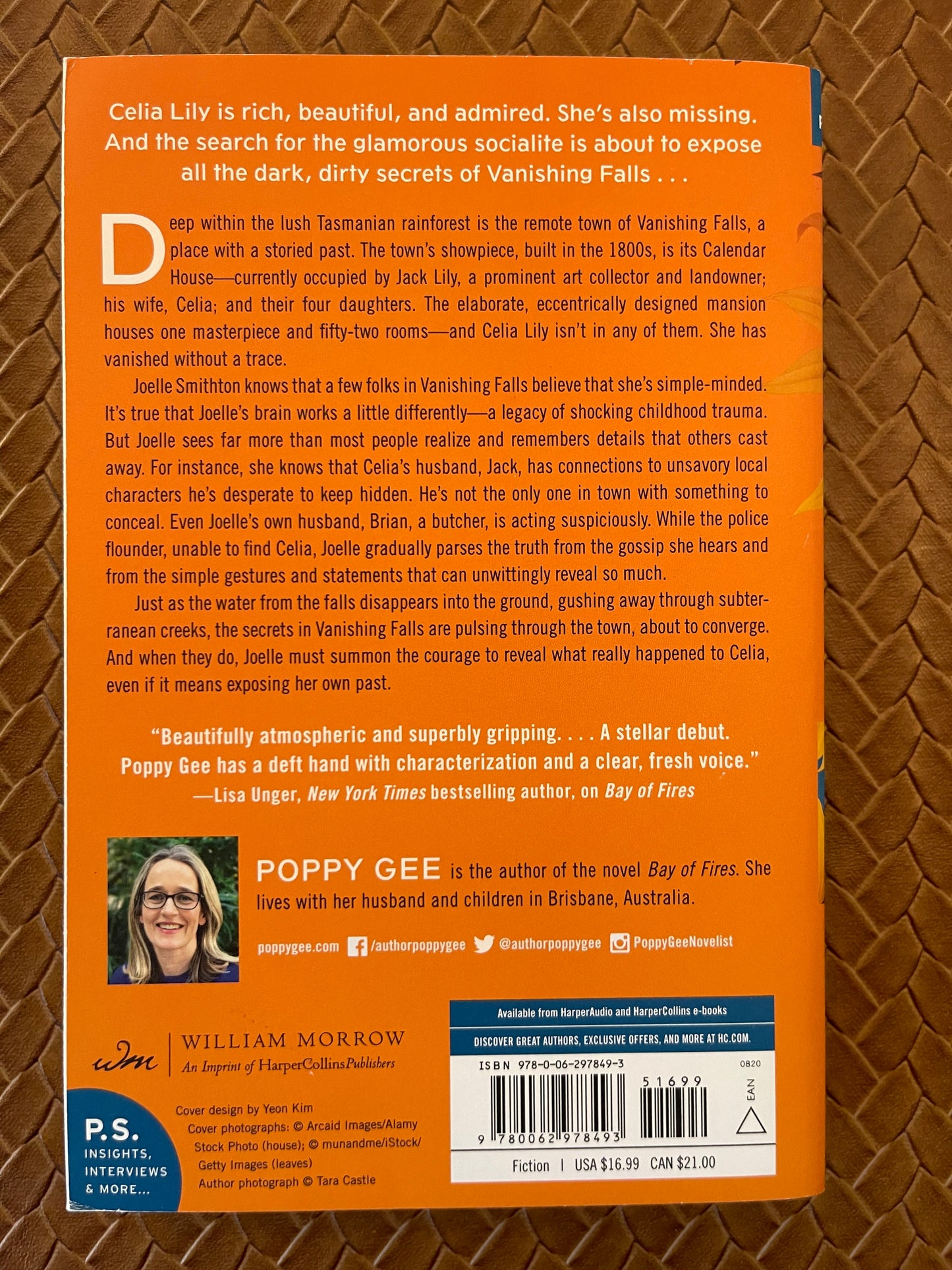 Vanishing Falls: A Novel by Poppy Gee (Paperback)