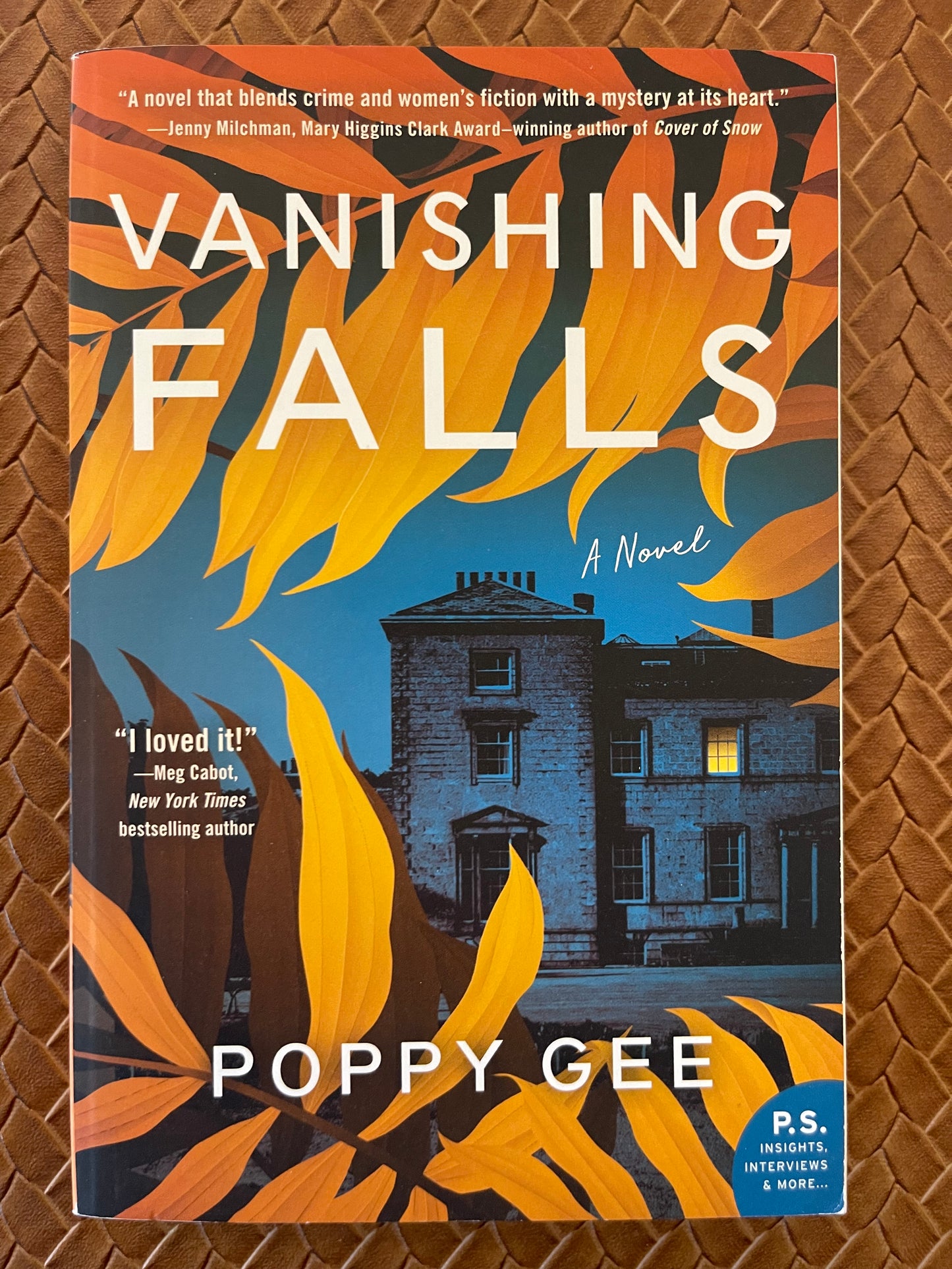 Vanishing Falls: A Novel by Poppy Gee (Paperback)