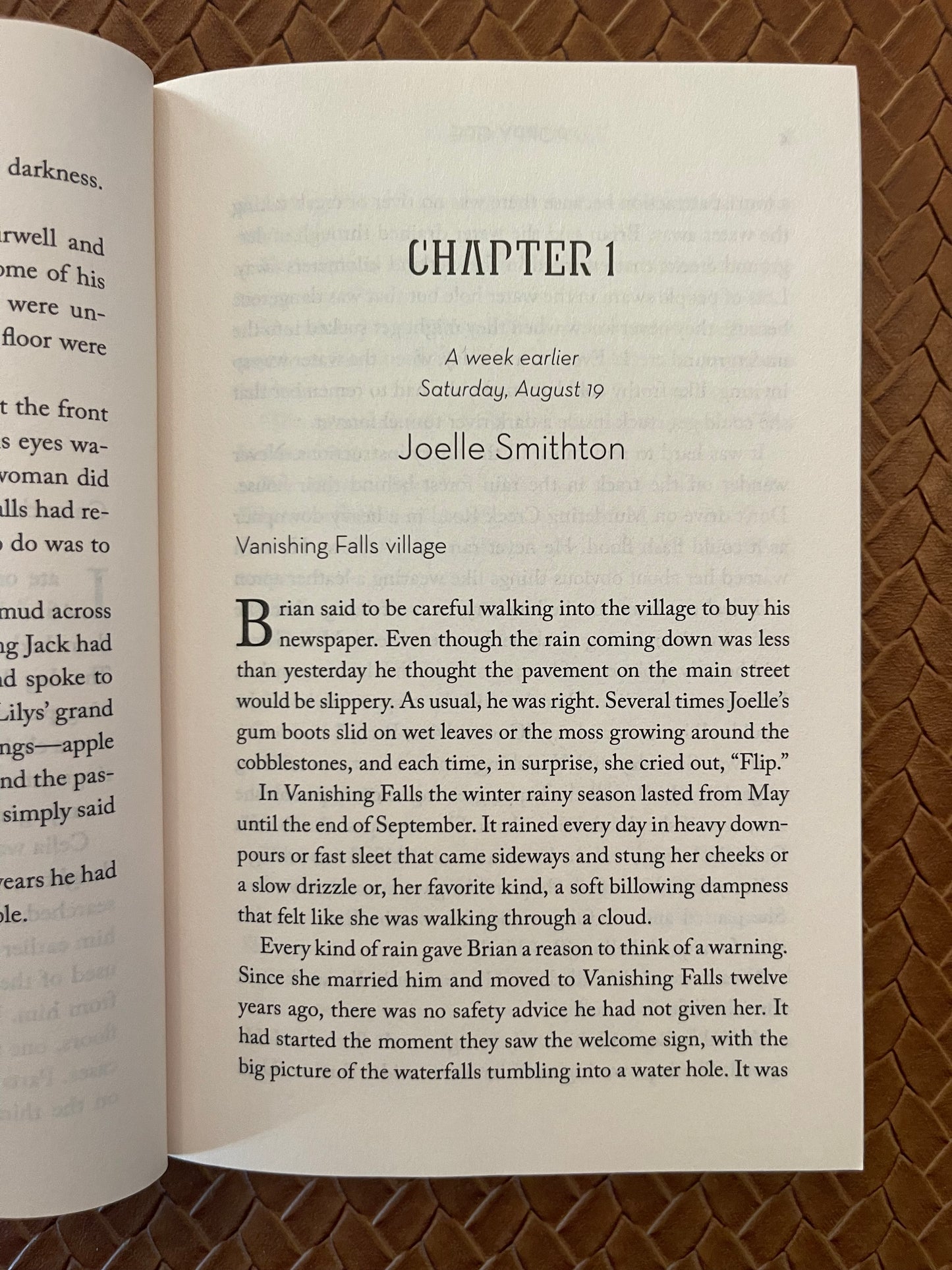 Vanishing Falls: A Novel by Poppy Gee (Paperback)