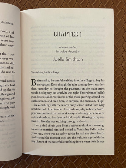 Vanishing Falls: A Novel by Poppy Gee (Paperback)