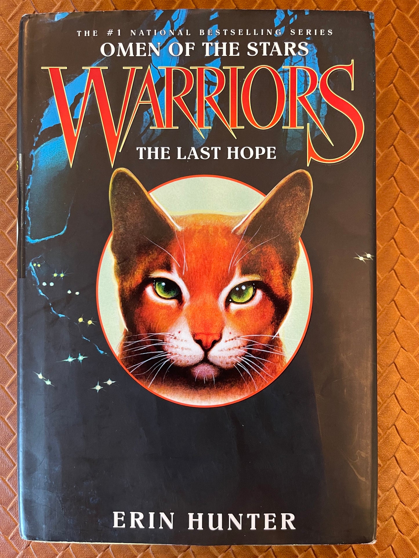 The Last Hope (Warriors: Omen of the Stars #6) by Erin Hunter