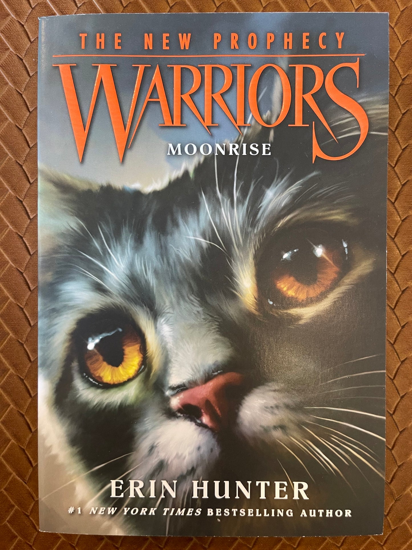 Warriors Second Series