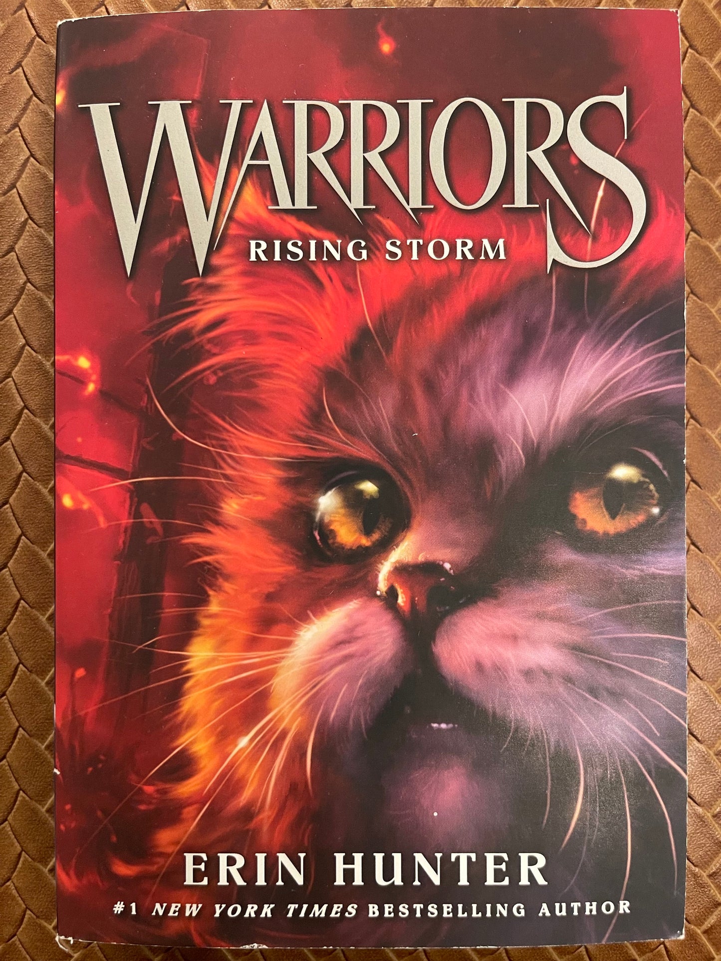 Rising Storm (Warriors #4) by Erin Hunter, Owen Richardson (Illustrations)
