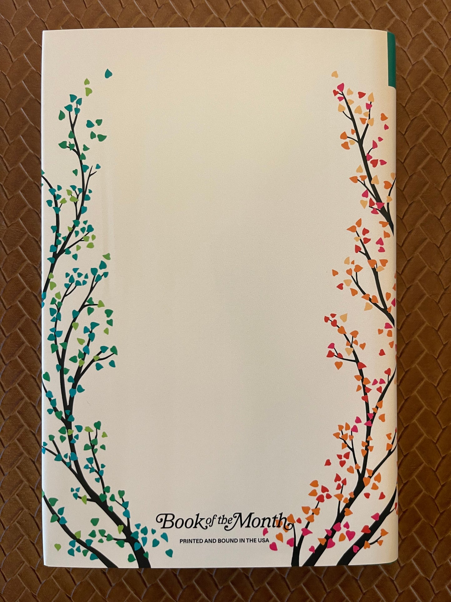 We All Live Here by Jojo Moyes (Hardcover)