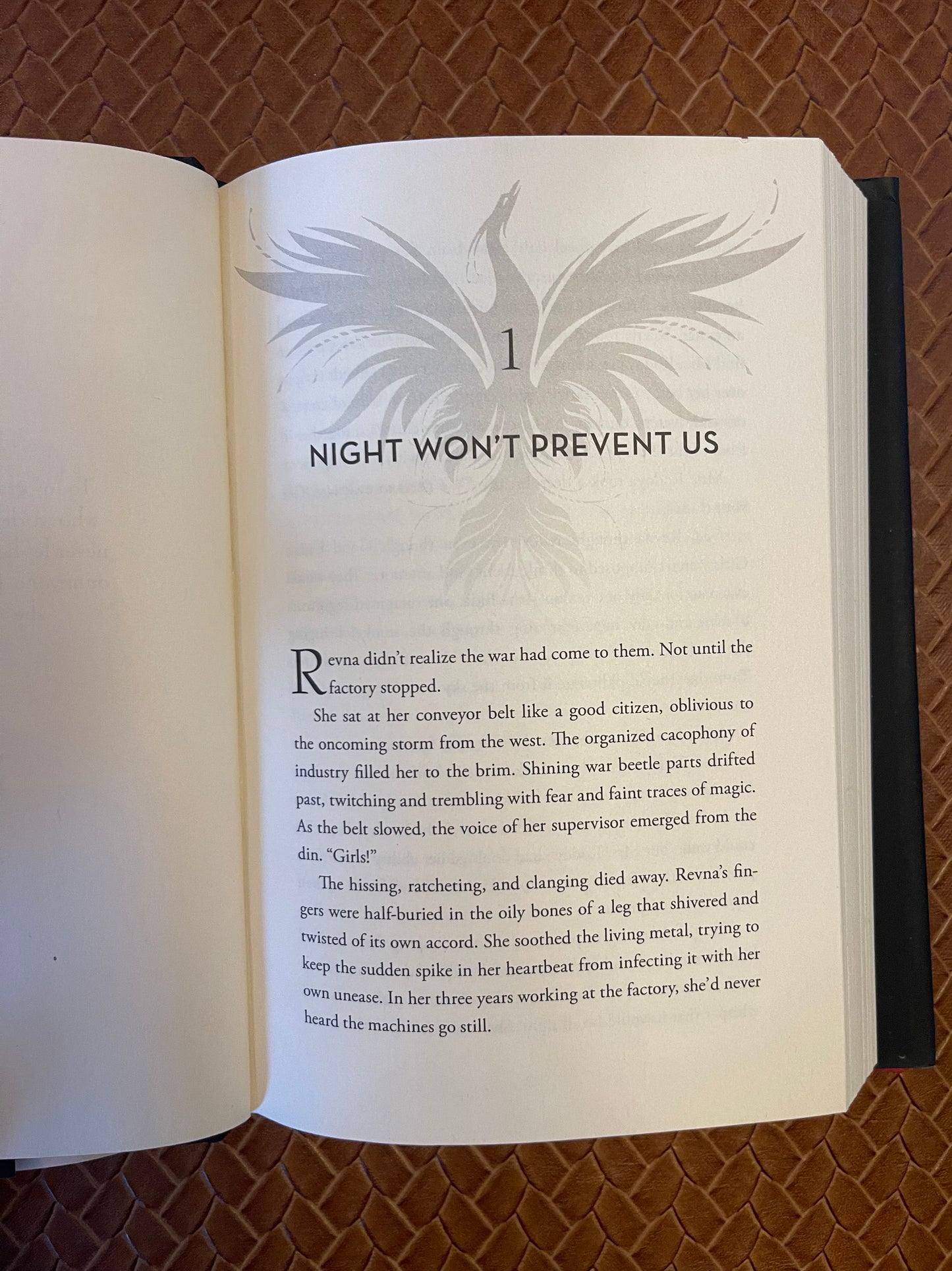 We Rule the Night by Claire Eliza Bartlett (Hardcover)