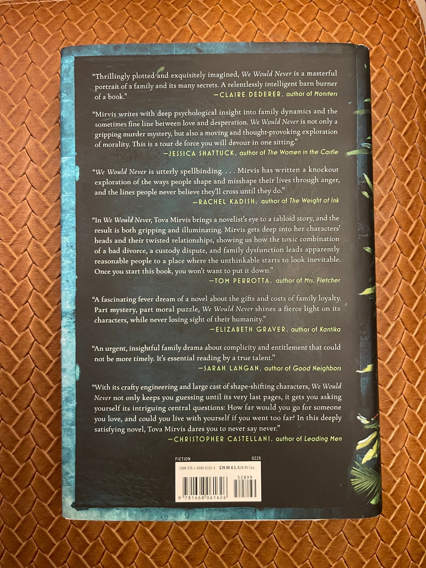 We Would Never by Tova Mirvis (Hardcover)