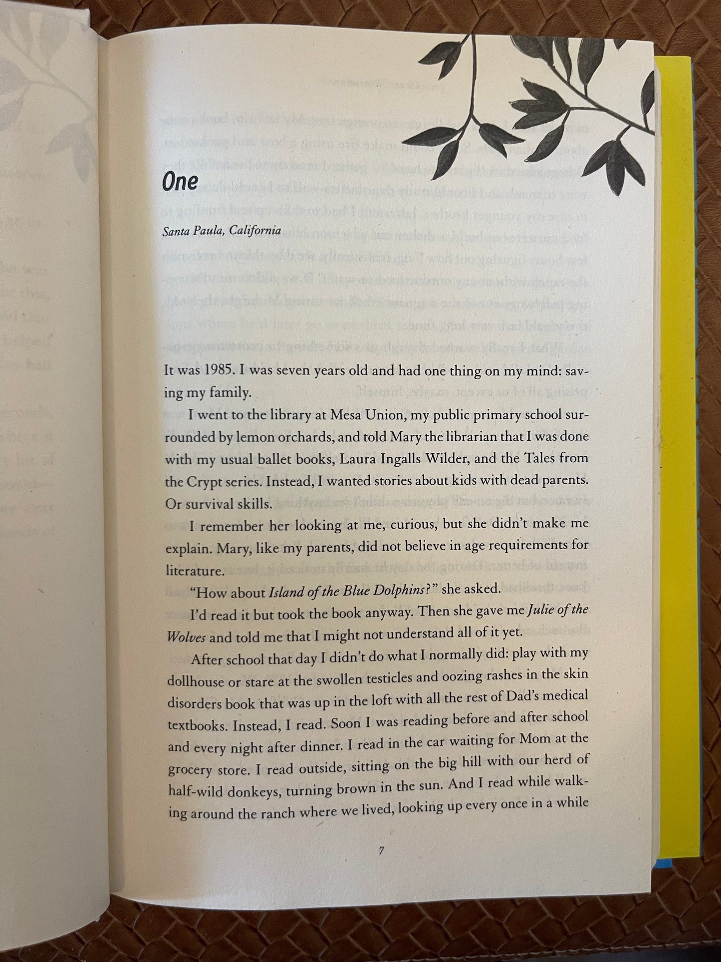 What Looks Like Bravery: An Epic Journey Through Loss to Love by Laurel Braitman (Hardcover)