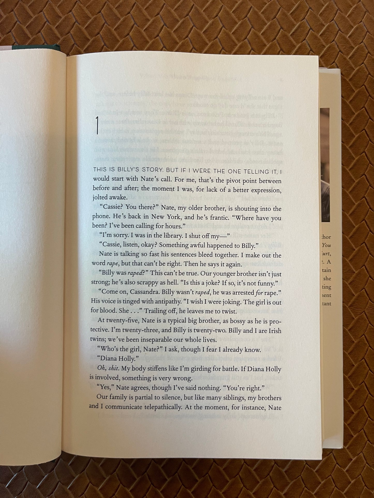 When We Were Bright And Beautiful by Jillian Medoff (Hardcover)