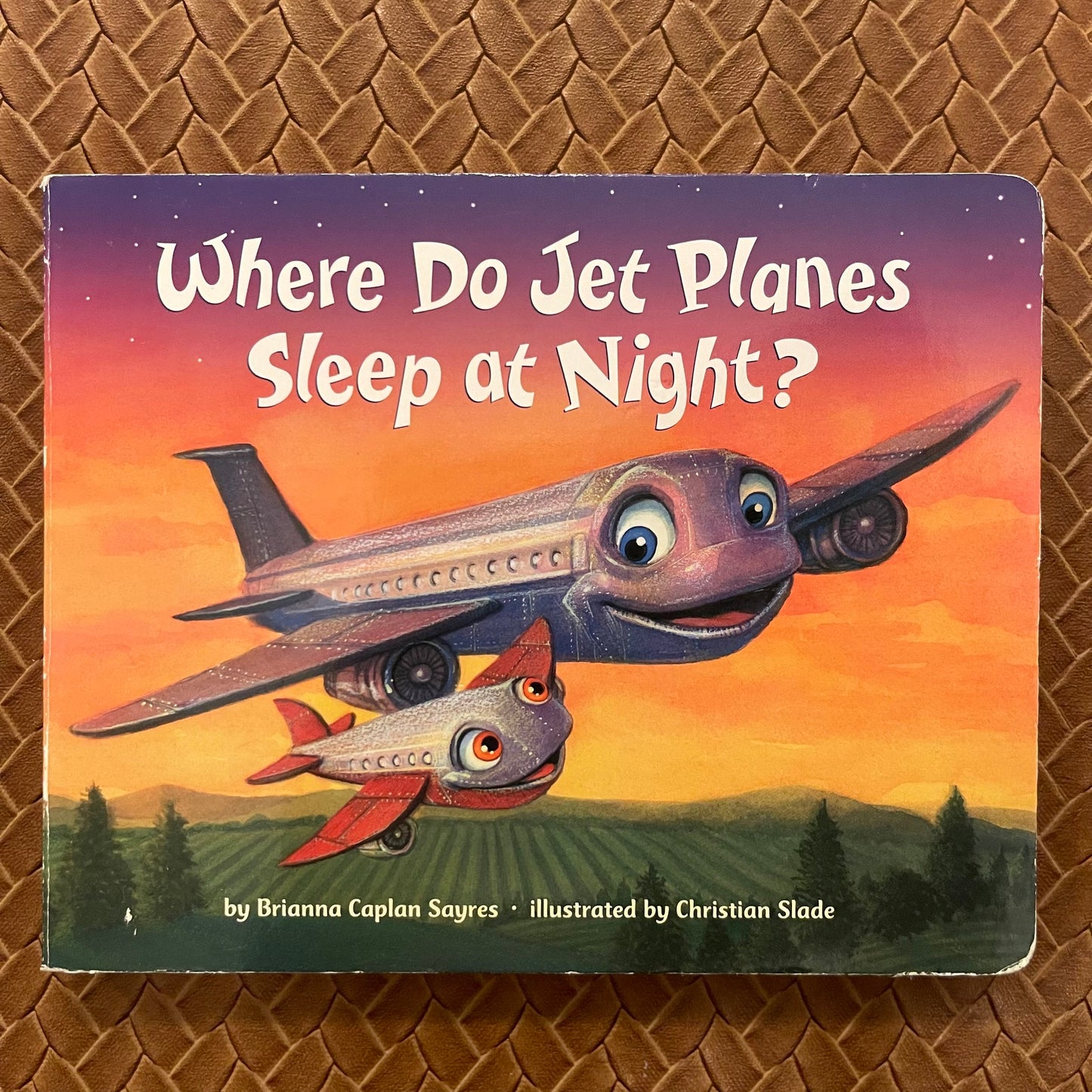 Where Do Jet Planes Sleep at Night? by Brianna Caplan Sayres
