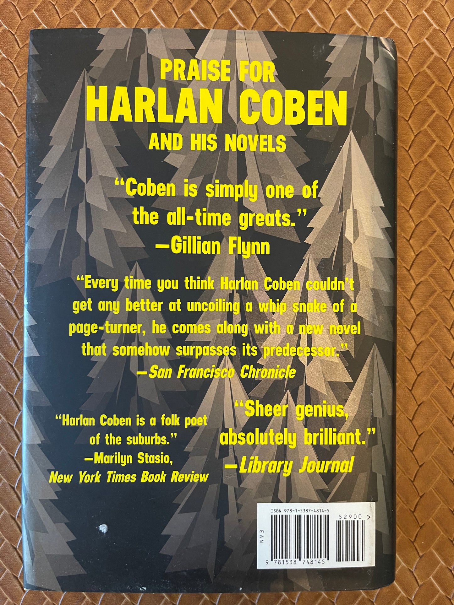 Wilde #1: The Boy from the Woodss by Harlan Coben (Hardcover)