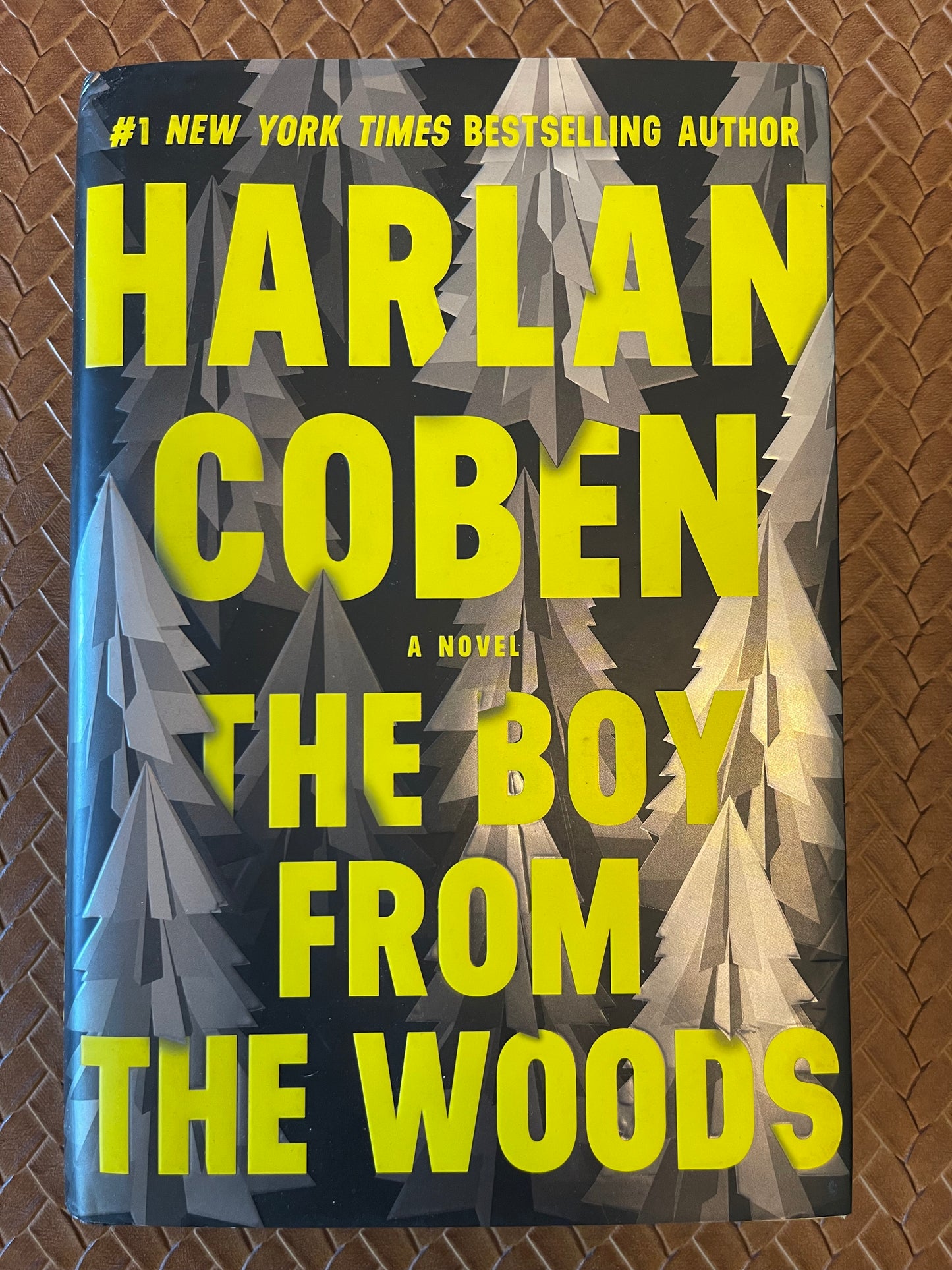 Wilde #1: The Boy from the Woodss by Harlan Coben (Hardcover)