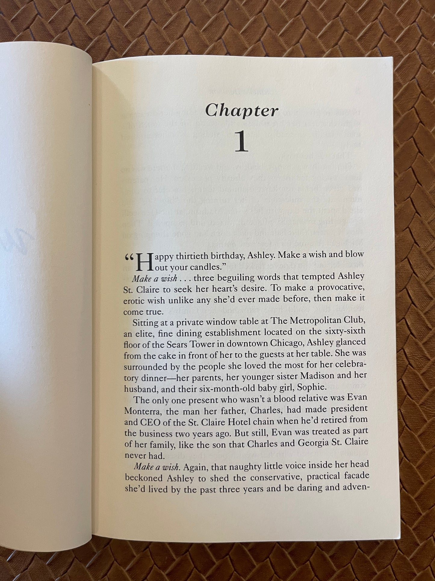 Wilde #2: The Wilde Side by Janelle Denison (Paperback)