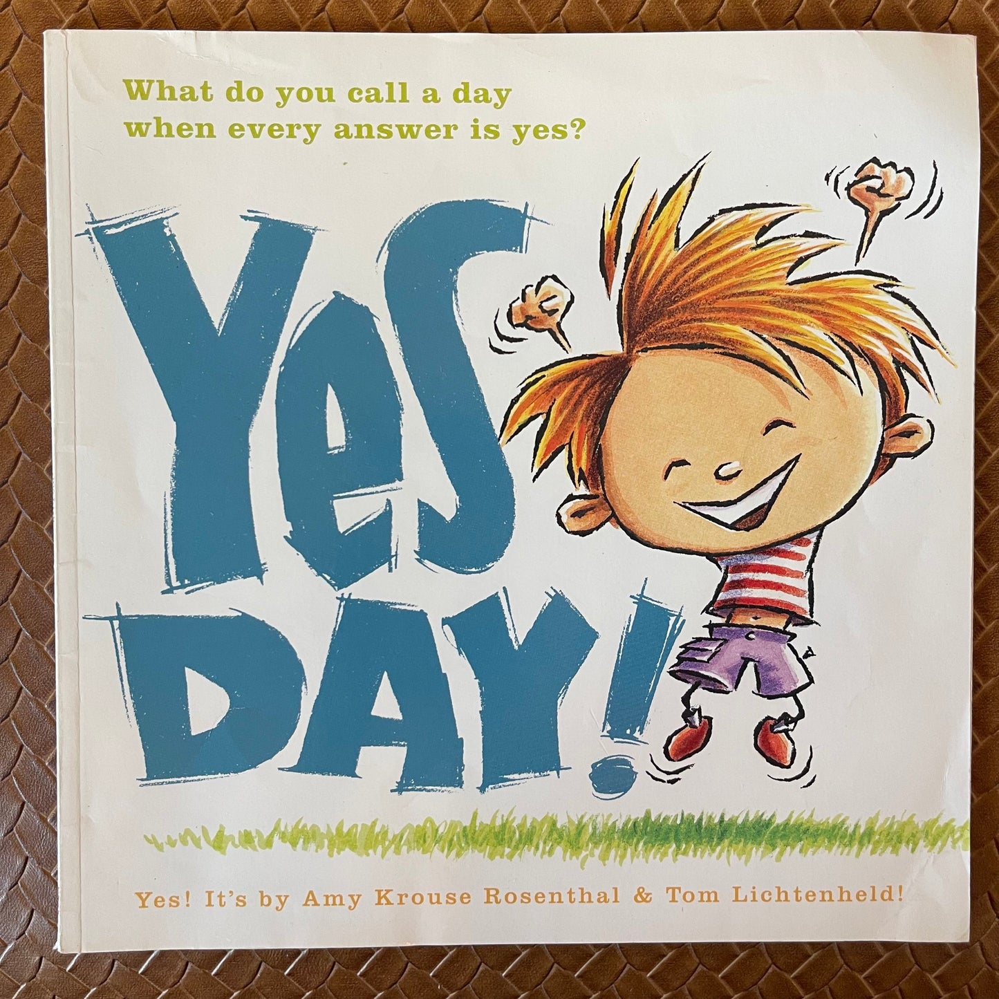 Yes Day! by Amy Krouse Rosenthal, Tom Lichtenheld (Illustrator)